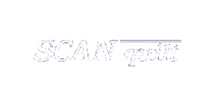 Scanquilt